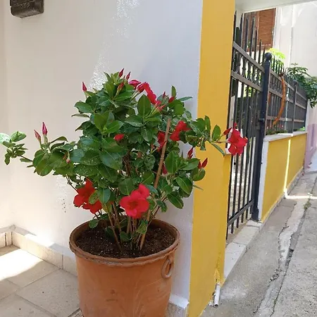 Stefanos Family Apartment *